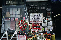 Battalion 8